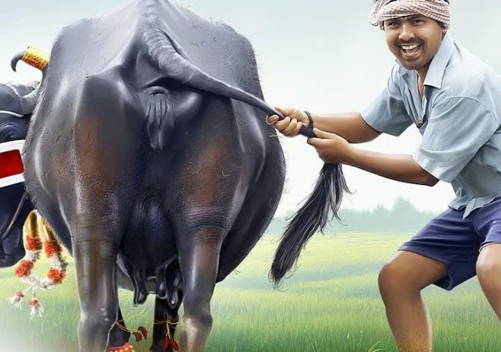 Lo Naveena Movie Review: ನೆಲ ಮೂಲದ ಭಾಷೆ, ಸೊಗಡಿನ ಅನಾವರಣ “ಲೋ .. ನವೀನ”