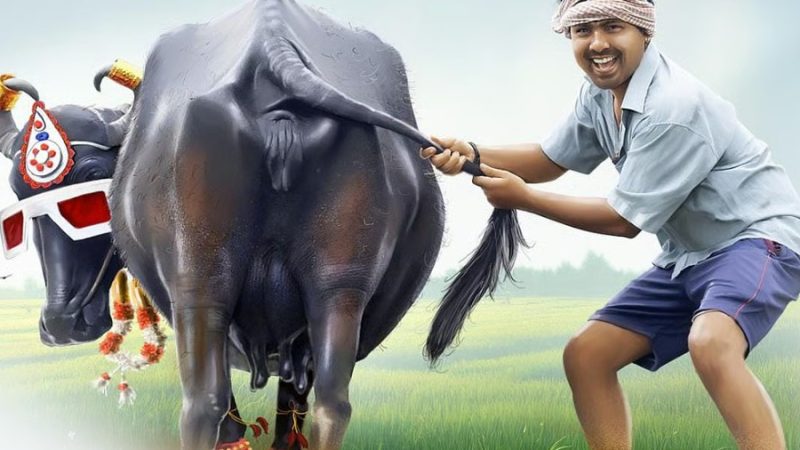 Lo Naveena Movie Review: ನೆಲ ಮೂಲದ ಭಾಷೆ, ಸೊಗಡಿನ ಅನಾವರಣ “ಲೋ .. ನವೀನ”