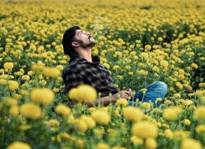 Mango Paccha Movie Review : ಚಂದನವನಕ್ಕೆ ಹೊಸ ತಳಿ ಪ್ರವೇಶ : ಅದೇ ಬಣ್ಣ, ಸ್ವಾದ, ರುಚಿ, ಕಿಚ್ಚ ಸುದೀಪ್ ಪ್ರತಿರೂಪ