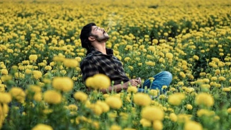 Mango Paccha Movie Review : ಚಂದನವನಕ್ಕೆ ಹೊಸ ತಳಿ ಪ್ರವೇಶ : ಅದೇ ಬಣ್ಣ, ಸ್ವಾದ, ರುಚಿ, ಕಿಚ್ಚ ಸುದೀಪ್ ಪ್ರತಿರೂಪ
